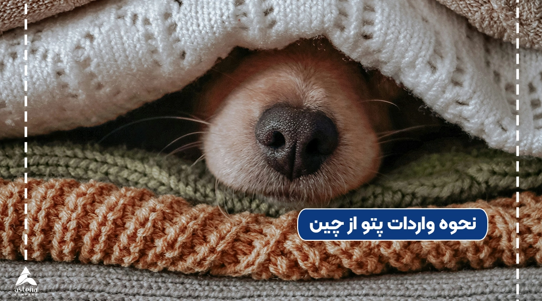 نحوه واردات پتو از چین