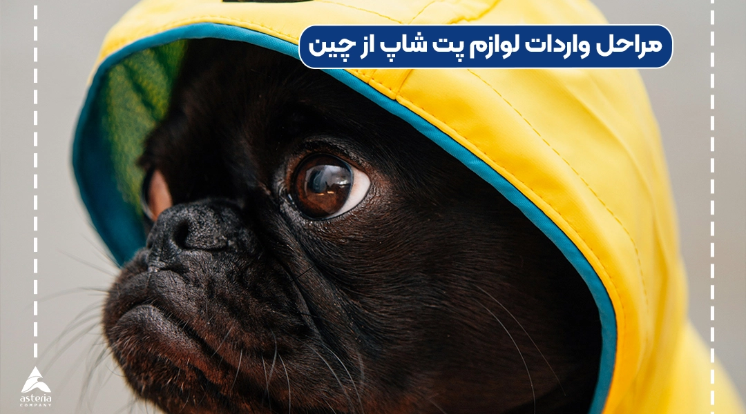 مراحل واردات لوازم پت شاپ از چین