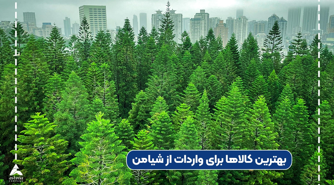 بهترین کالاها برای واردات از شیامن