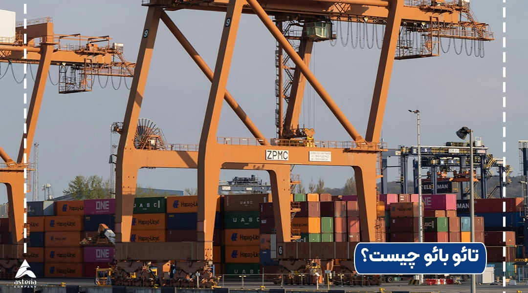 تائو بائو چیست؟